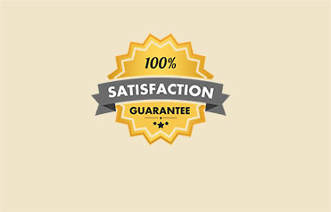 100% Garantía